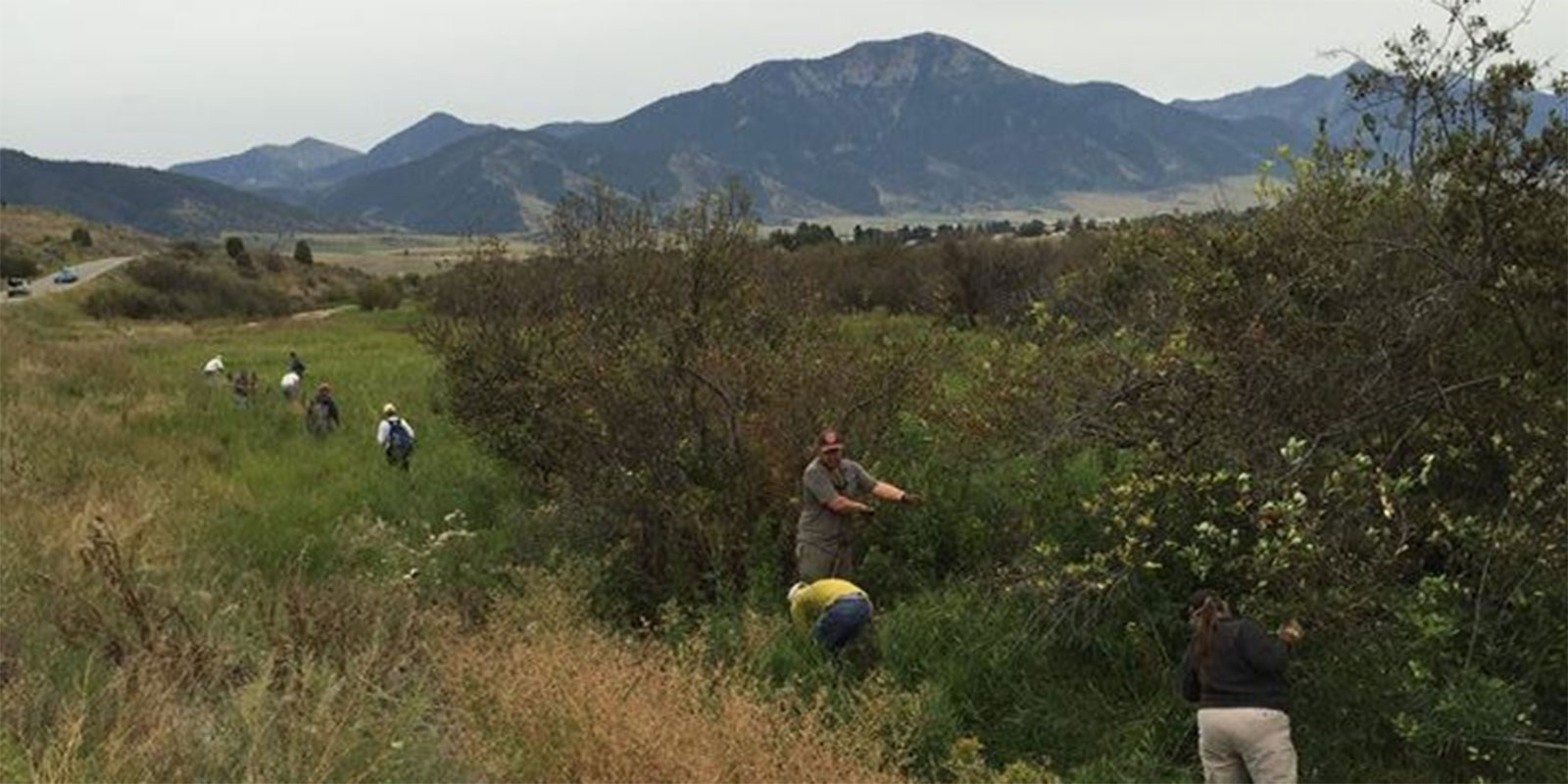 Stewardship Teton Regional Land Trust