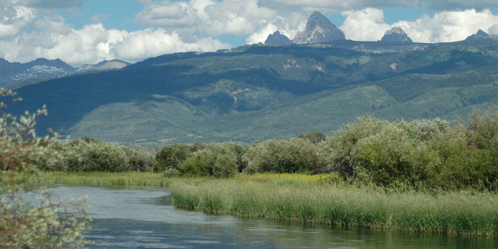 ConservationBuyersProgram Teton Regional Land Trust
