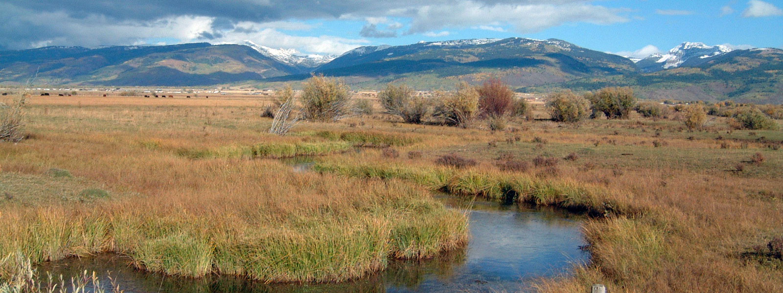 Stewardship | Teton Regional Land Trust