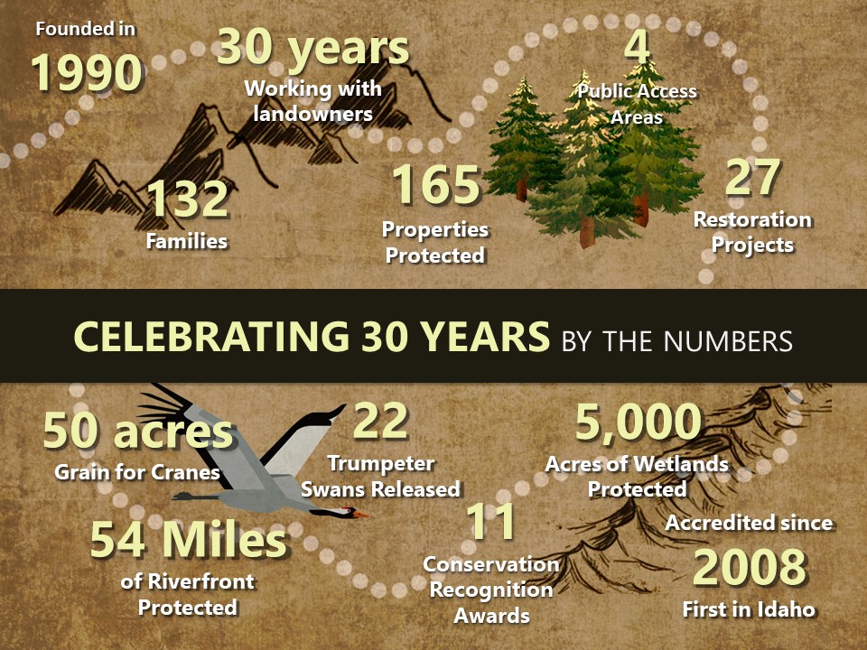 infographic_wide (1)