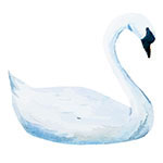 TRLT Swan