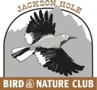 Jackson Hole Bird and Nature Club