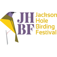 Jackson Hole Birding Festival